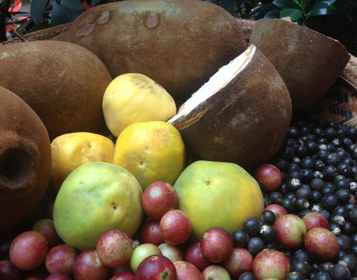 Amazonian fruits Few amazonian fruits
