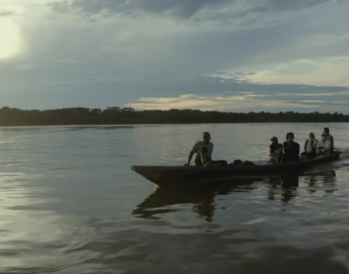 A beautiful sunset un the amazon