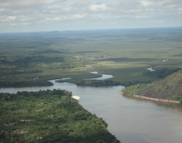 Las venas de planeta están en el Amazonas Las venas del planeta están en el amazonas